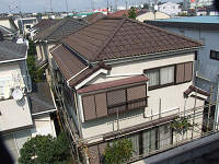 Zg